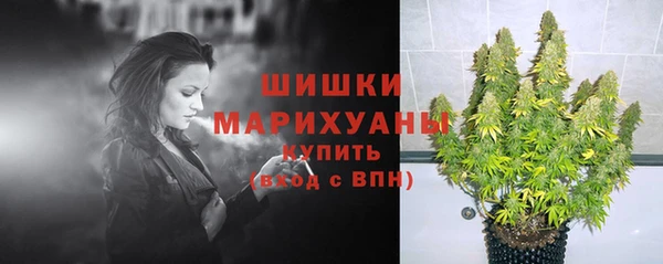 ALPHA PVP Богородицк