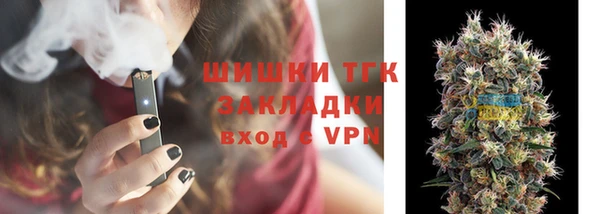 гашик Бородино