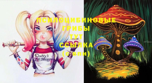 гашик Бородино