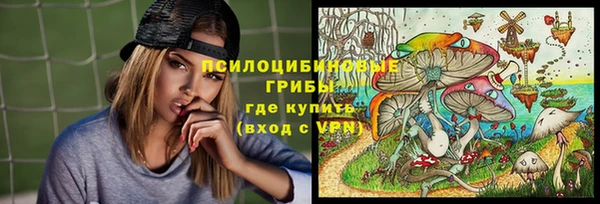 гидра Каменск-Шахтинский