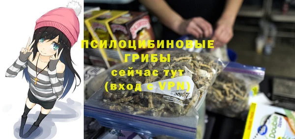 ALPHA PVP Богородицк